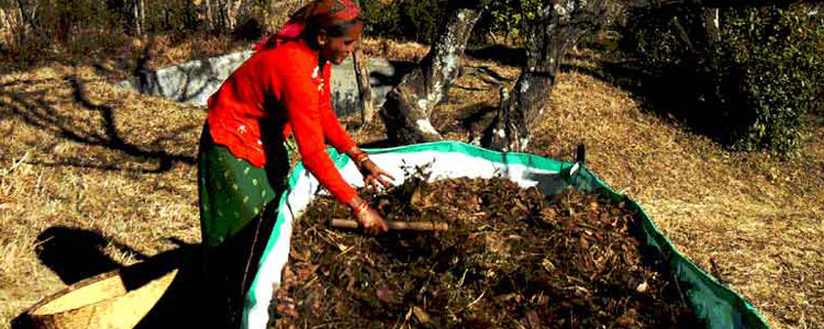 Vermin composting